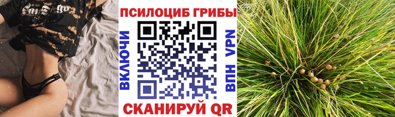 Псилоцибиновые грибы MAGIC MUSHROOMS  где найти   Ногинск 
