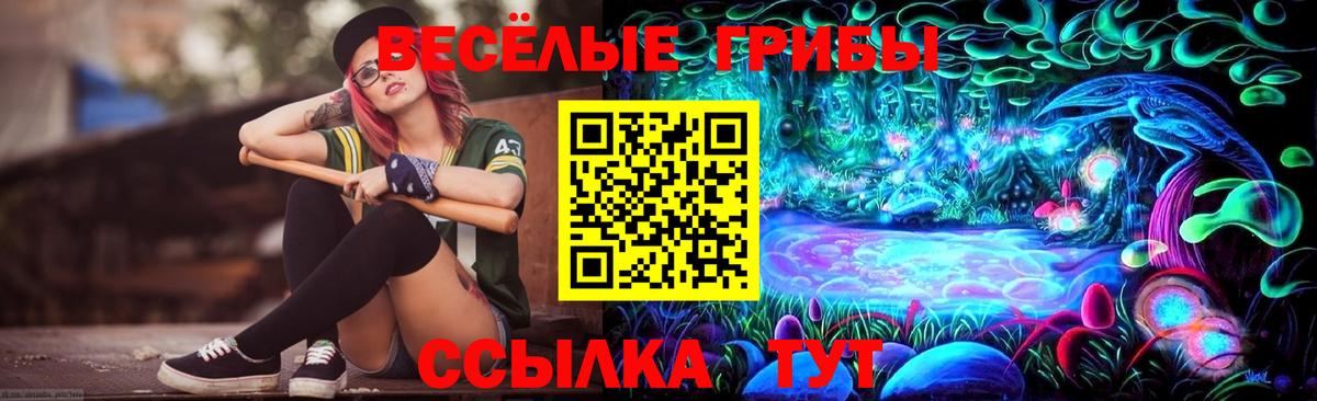 Галлюциногенные грибы Cubensis  Вход с VPN  Галлюциногенные грибы Psilocybe  Ногинск 